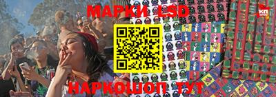 a pvp Будённовск