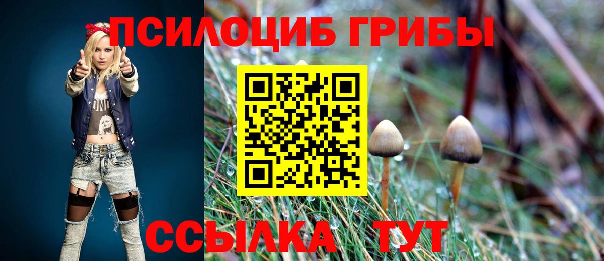 Галлюциногенные грибы мицелий  Вход с VPN  Михайловск 